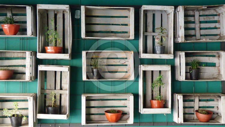 Flower Pots, Fruit Cages - Decorated Wall