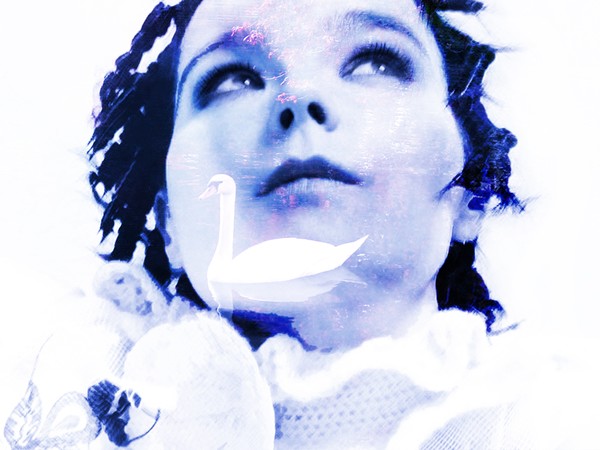 The Beautiful Swan Bjork