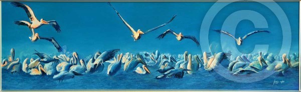 The Cranes