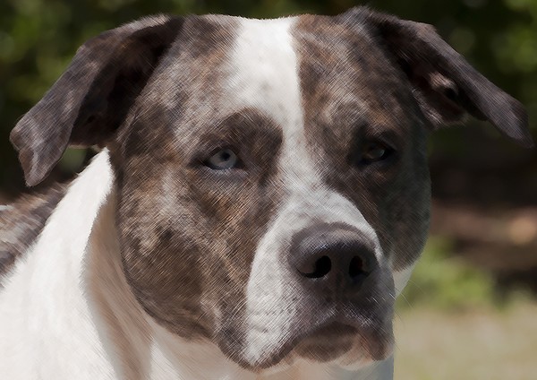 Zeus aka zuzu