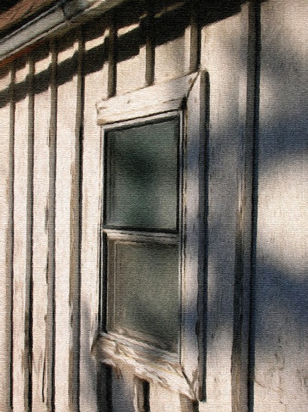 The Window
