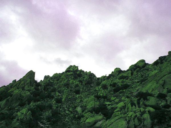 A Distant Planet