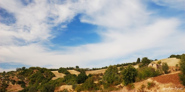 Patchwork land