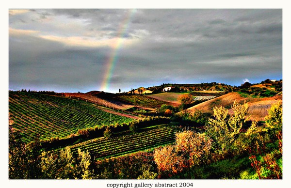 Tuscan Hills