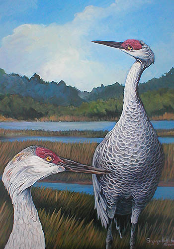 Seney Sandhills
