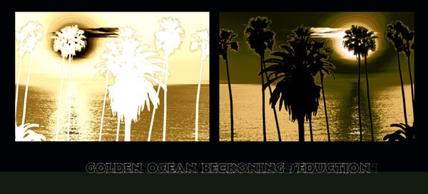 Golden Ocean Becons Seduction