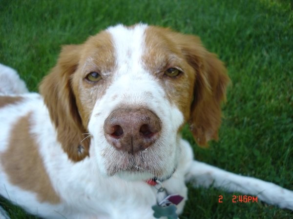 Copper