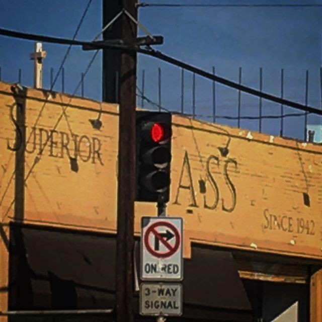 Birds sent down to the wires