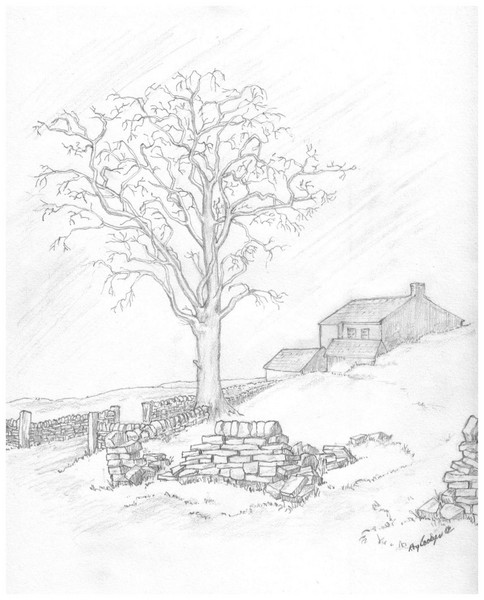 Hill Farm