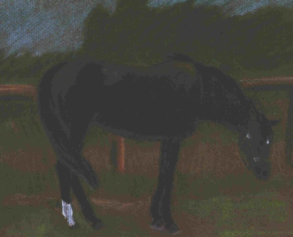 Wilejka