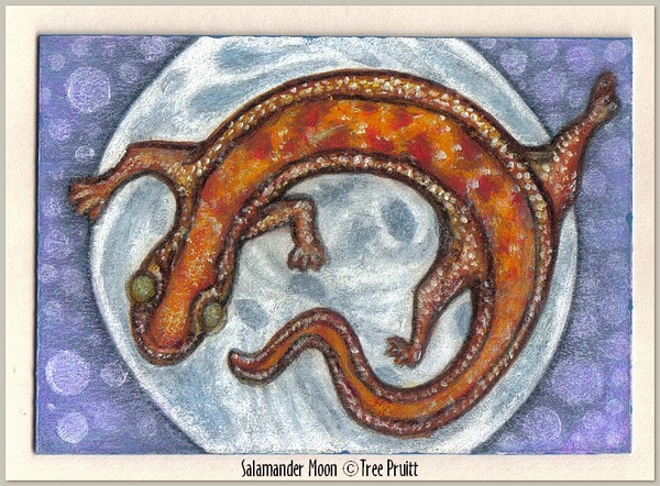 Salamander Moon ACEO