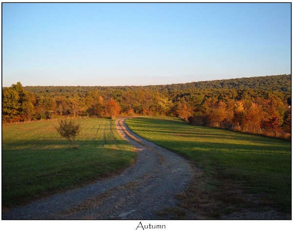 Autumn
