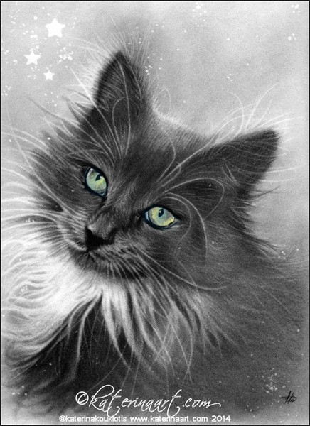 Kitty Magic