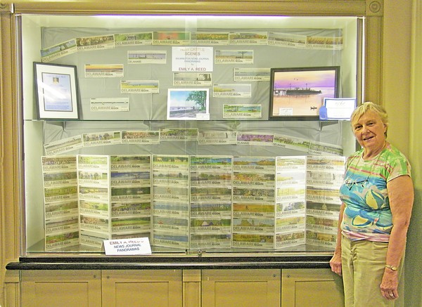 Library Exhibit Display Case