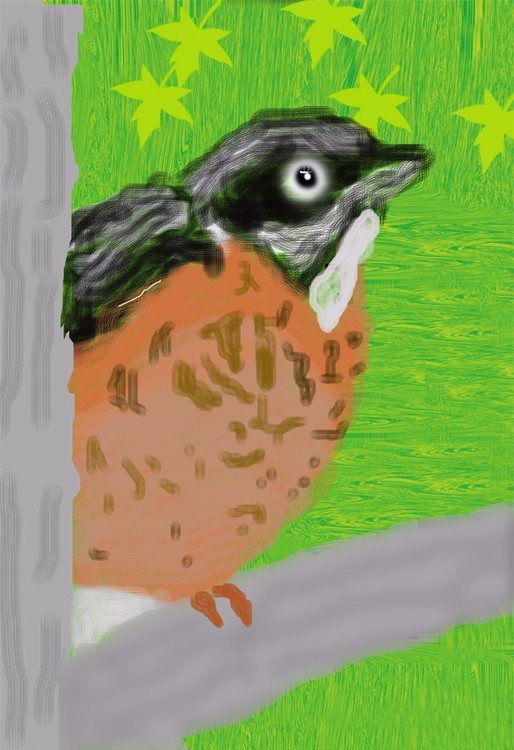Robin Chick (O803)