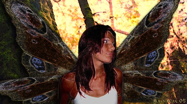 Butterfly