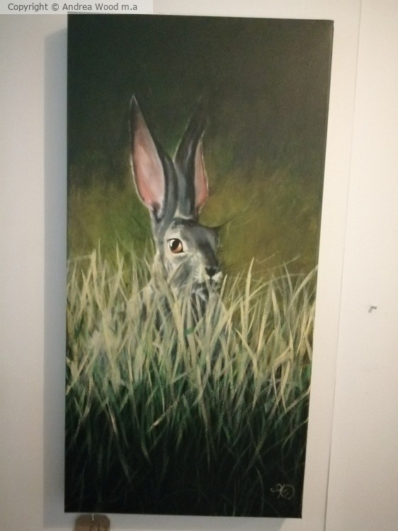 Hare in long grass