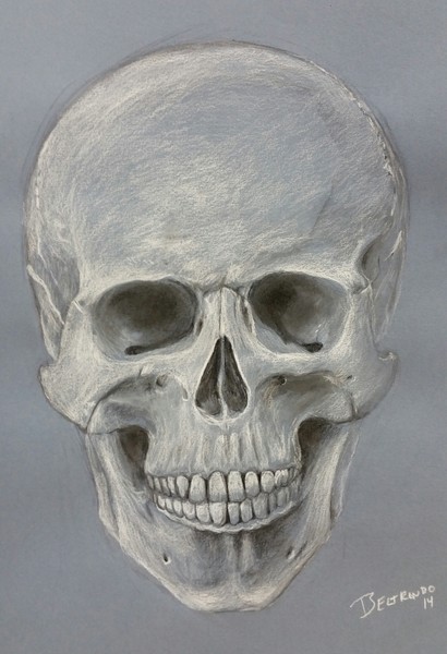 Skull