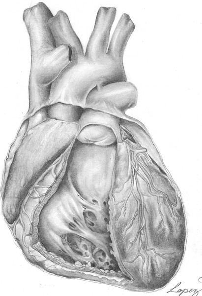 Ze Heart