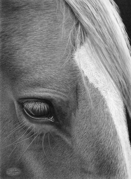 Lovely Lashes