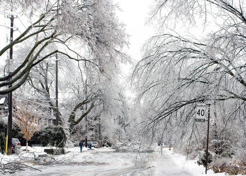 ICE STORM'S AFTERMATH