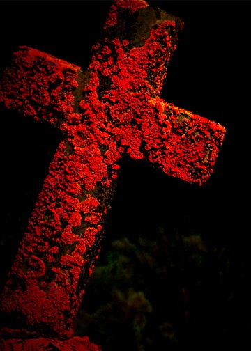 CROSS PATHS