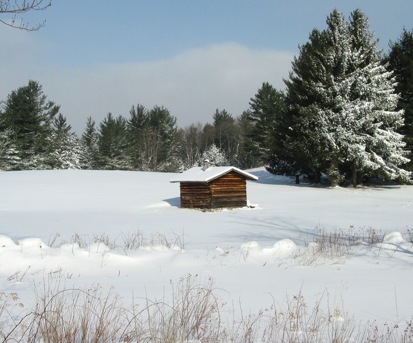 Snow shed