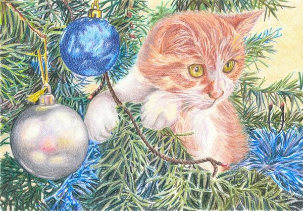 Christmas cat