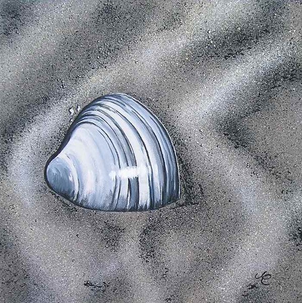 Peverassa (Clam)