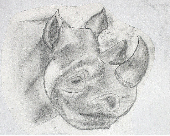 Rino