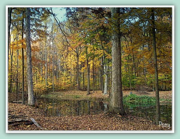 Autumn at Home...