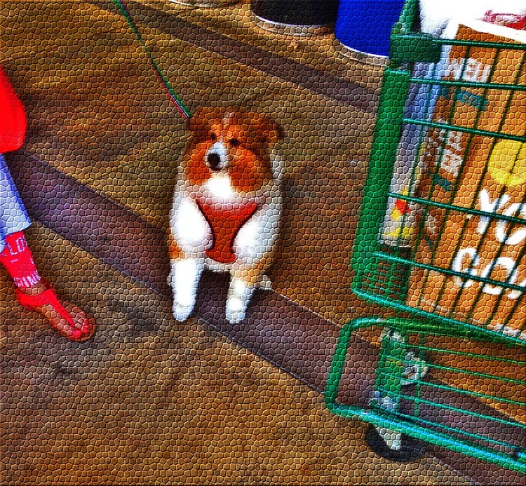 At The Supermarket