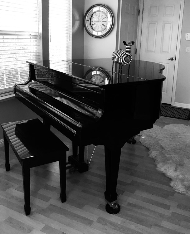 Three Clocks and a Piano