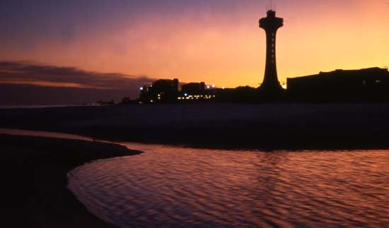 The Tower