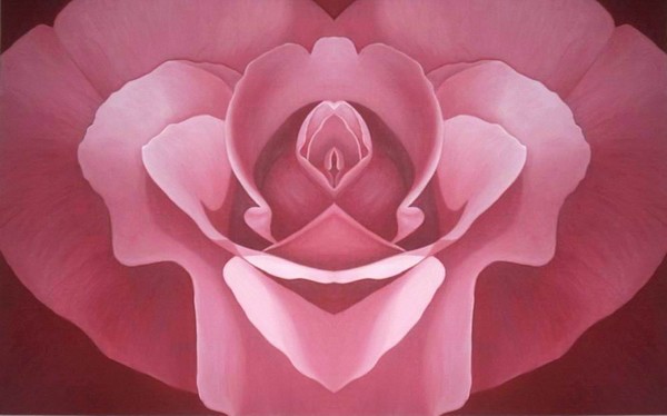 A Pink Rose