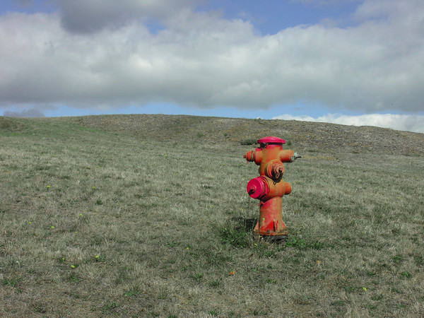 The Fire Hydrant