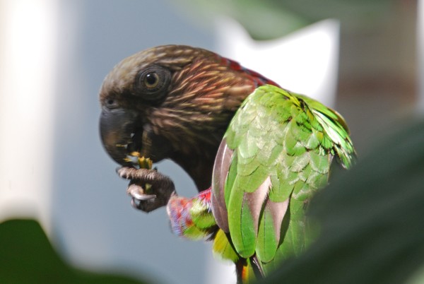 Sneaking a Bite