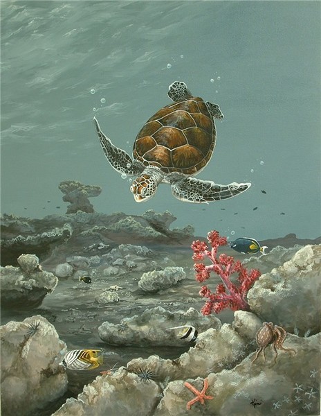 Sea turtle