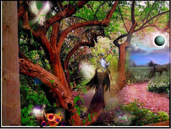 The Land of Hearts Desire