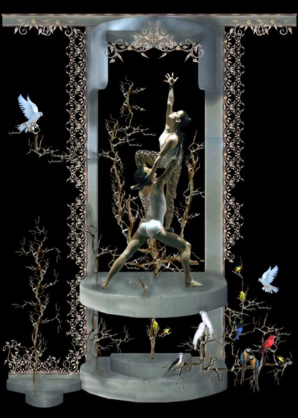 Acceptance in a Birds Paradise 2c