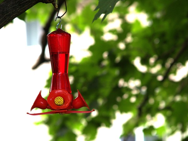 Red-Green