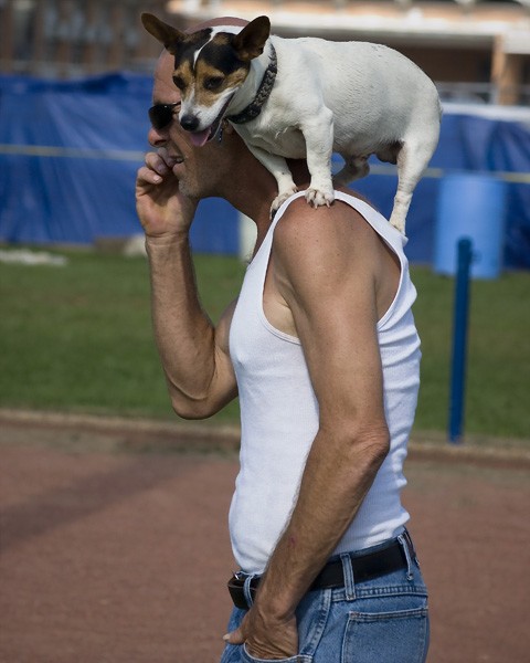 Hitchin A Ride