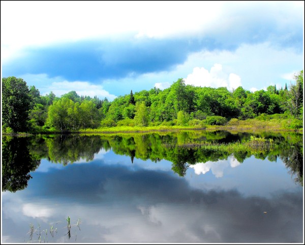 Green And Cloudy Reflections
