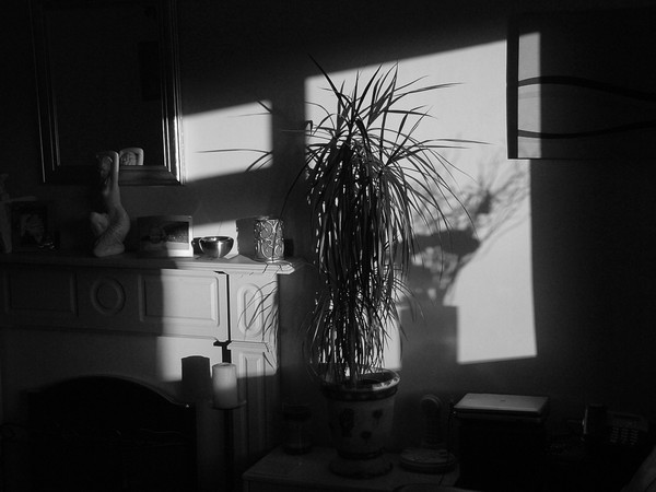 SHADOWS 2
