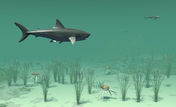 SEALIFE 2