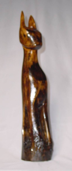 The Long Cat