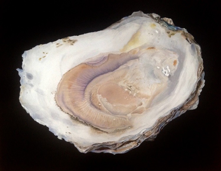 Oyster