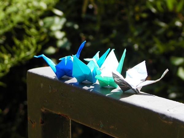 Origami 7