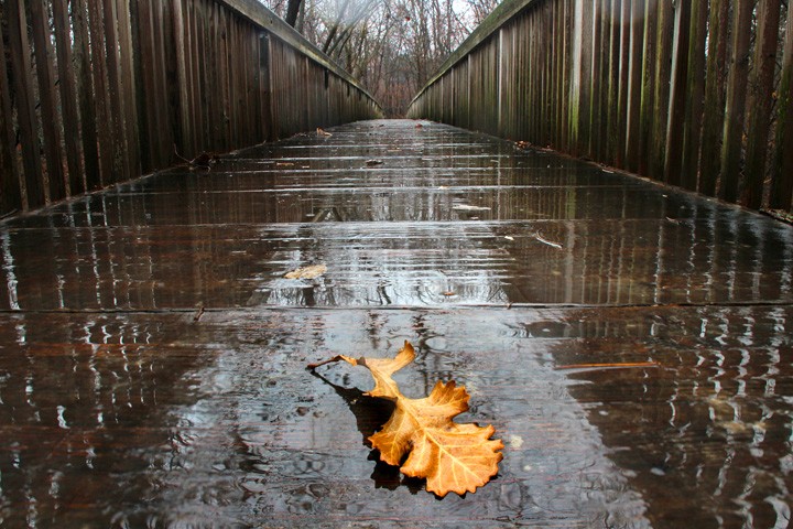 After The Fall
