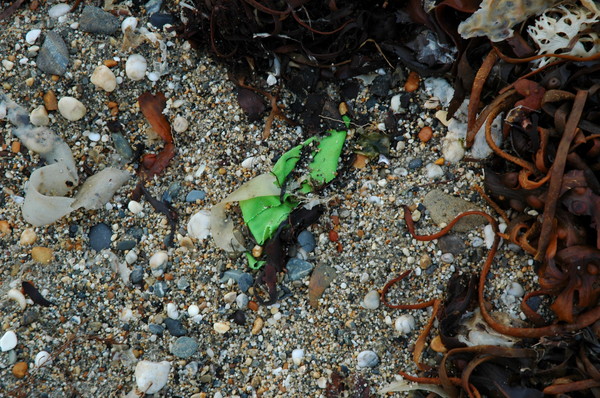 green plastic: Rubbish Series 3.